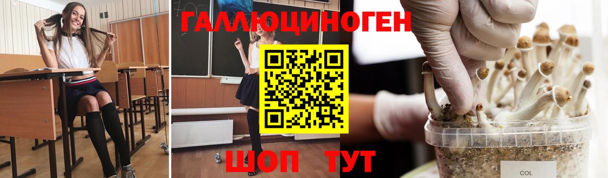 Моршанск  Псилоцибиновые грибы Cubensis  хочу   Псилоцибиновые грибы мухоморы  Вход с VPN 